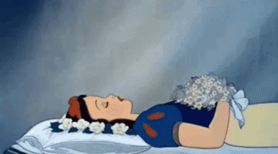 Buenas Noches Princesa GIF