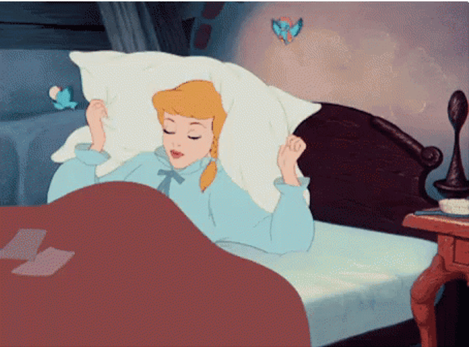 Buenas Noches Princesa GIF