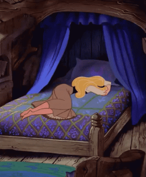 Buenas Noches Princesa GIF