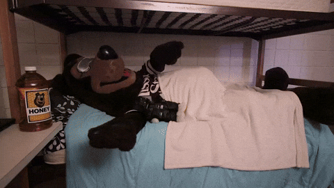 Buenas Noches Sabado 480 X 270 Gif GIF