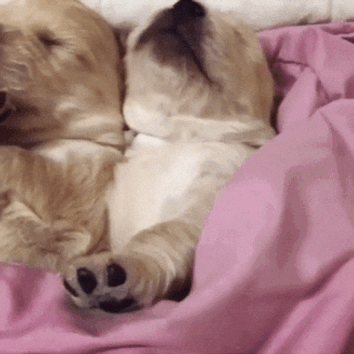 Buenas Noches Sabado GIF