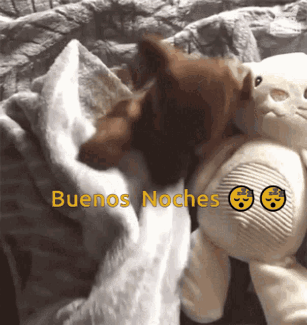 Buenas Noches Sleepy Chihuahua GIF