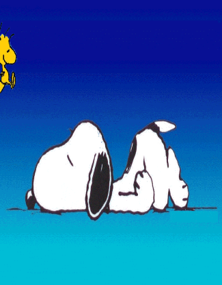 Buenas Noches Snoopy 325 X 416 Gif GIF