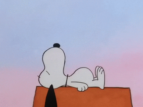 Buenas Noches Snoopy 480 X 360 Gif GIF