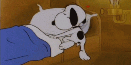 Buenas Noches Snoopy 498 X 249 Gif GIF