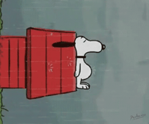 Buenas Noches Snoopy 498 X 415 Gif GIF