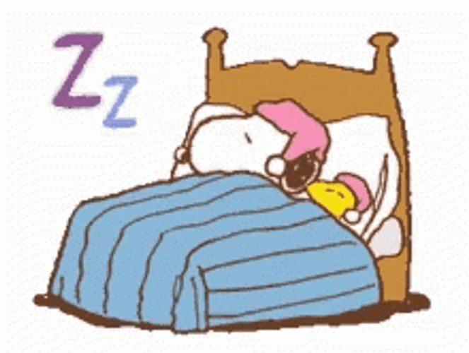 Buenas Noches Snoopy GIF