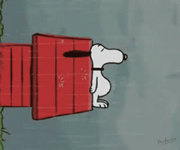 Buenas Noches Snoopy GIF