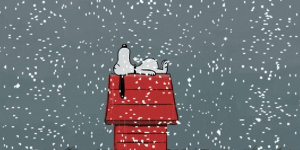 Buenas Noches Snoopy GIF