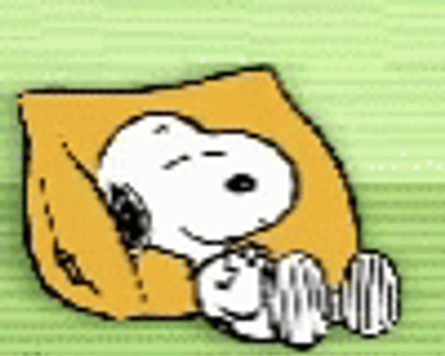 Buenas Noches Snoopy GIF