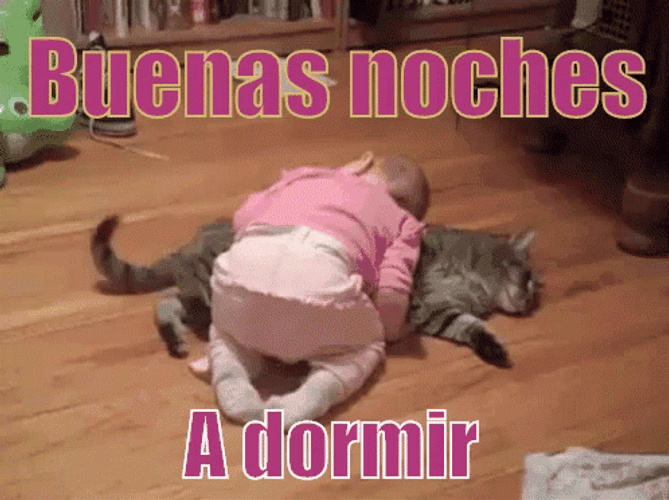 Buenas Noches With Baby & Cat GIF 