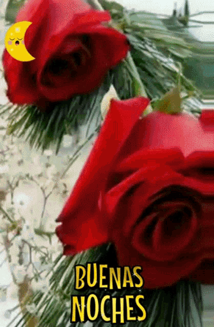 Buenas Noches With Virgin Mary GIF