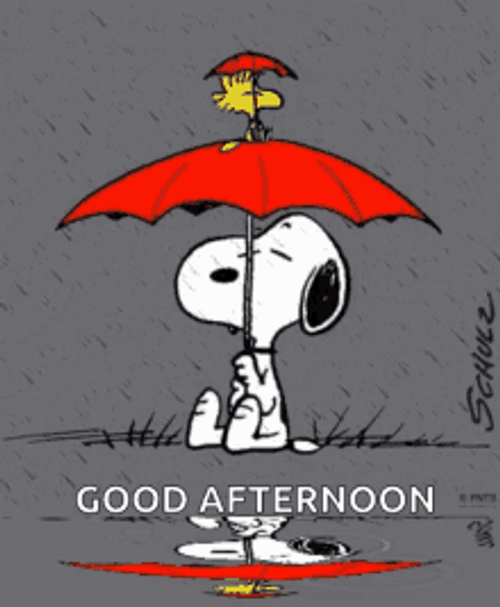 Buenas Tardes Snoopy Under Umbrella Raining GIF 