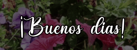 Buenos Dias Amigas 480 X 176 Gif GIF