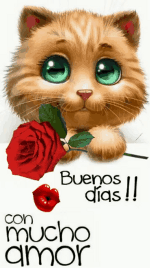  Buenos Dias Amor Cute Cat Holding Rose GIF