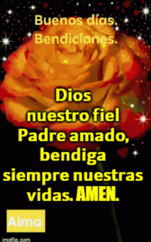 Buenos Dias Bendiciones Flower Bouquet GIF