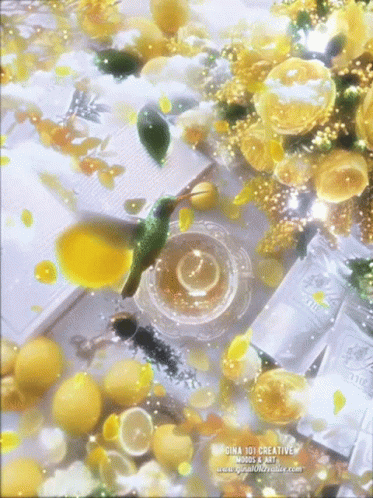 Buenos Dias Colibri 373 X 498 Gif GIF