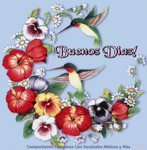 Buenos Dias Colibri 487 X 498 Gif GIF