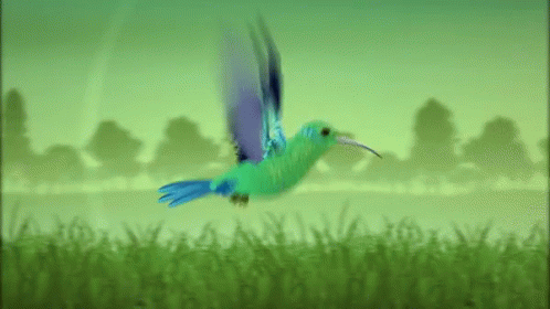 Buenos Dias Colibri 498 X 280 Gif GIF