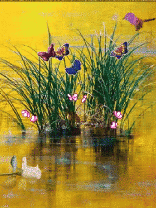 Buenos Dias Colibri GIF
