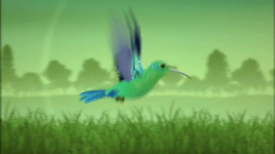 Buenos Dias Colibri GIF
