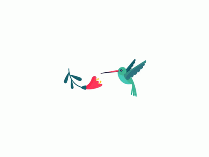 Buenos Dias Colibri GIF