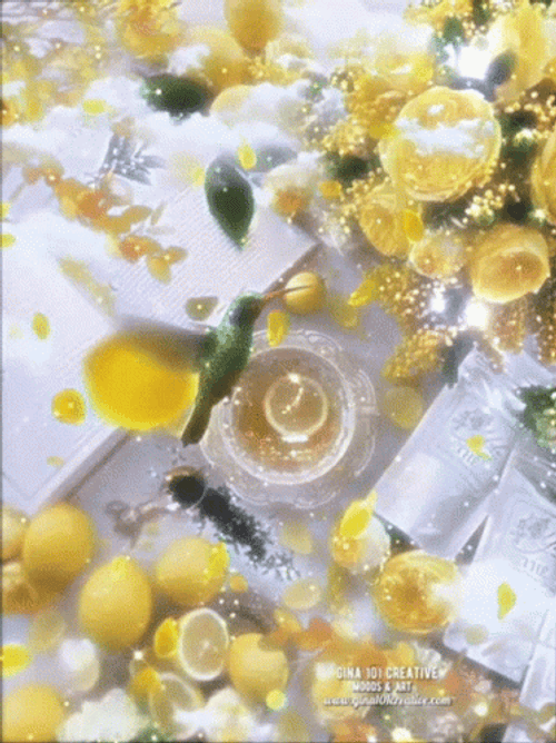Buenos Dias Colibri GIF