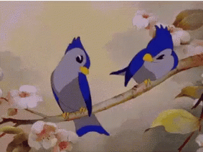 Buenos Dias Colibri GIF