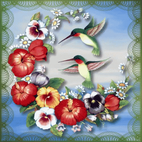 Buenos Dias Colibri Undefined X Undefined Gif GIF