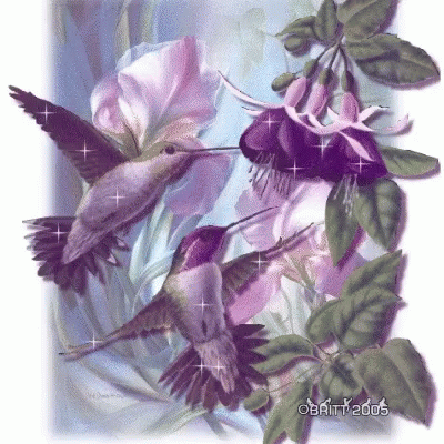 Buenos Dias Colibri Undefined X Undefined Gif GIF