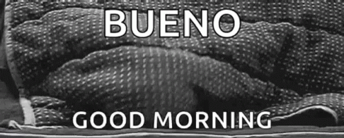 Buenos Dias Con Gatitos Undefined X Undefined Gif GIF