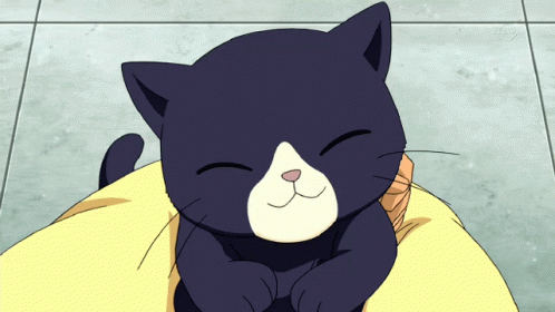 Buenos Dias Con Gatitos Undefined X Undefined Gif GIF