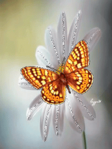 Buenos Dias Con Mariposas 373 X 498 Gif GIF