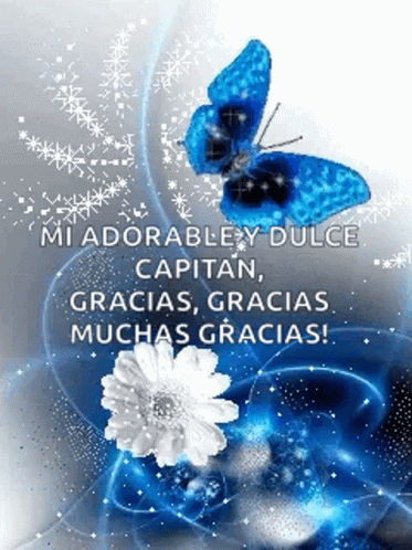Buenos Dias Con Mariposas 373 X 498 Gif GIF