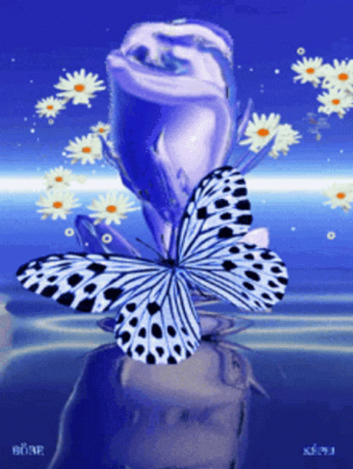 Buenos Dias Con Mariposas GIF