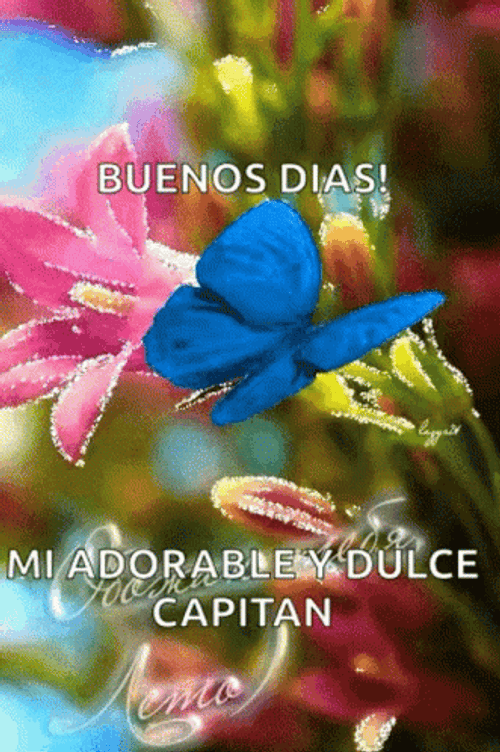 Buenos Dias Con Mariposas GIF