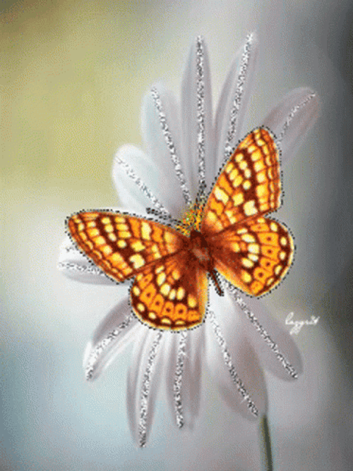 Buenos Dias Con Mariposas GIF