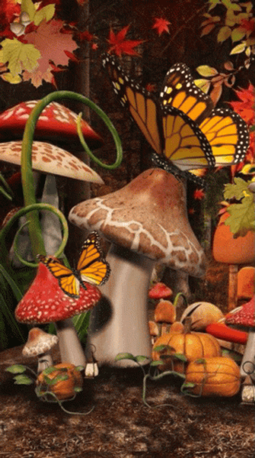 Buenos Dias Con Mariposas GIF