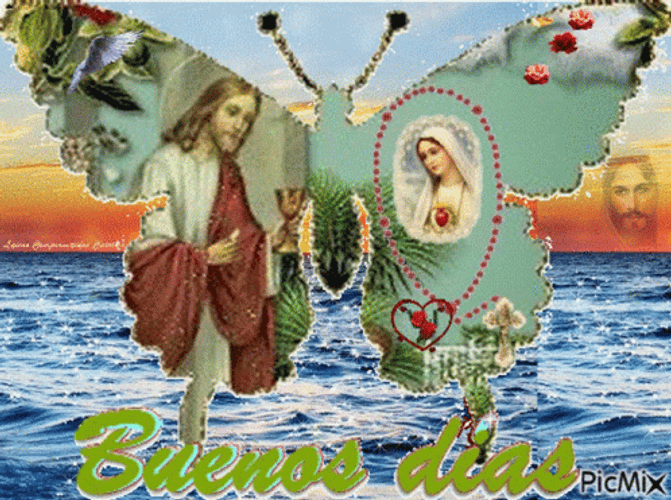 Buenos Dias Con Mariposas GIF