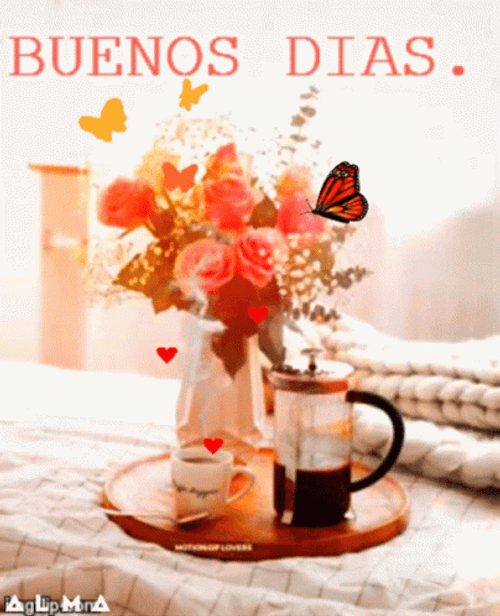 Buenos Dias Con Mariposas GIF