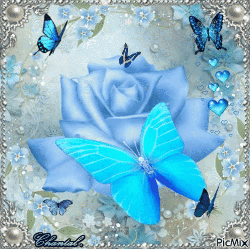 Buenos Dias Con Mariposas GIF