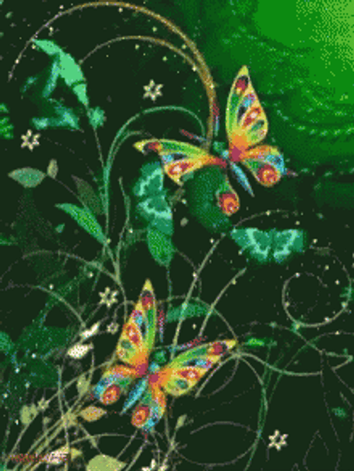 Buenos Dias Con Mariposas GIF