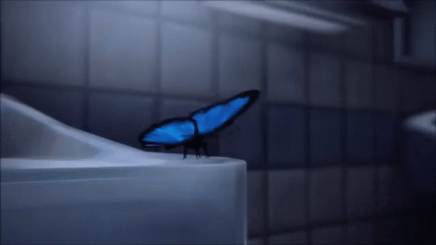 Buenos Dias Con Mariposas GIF