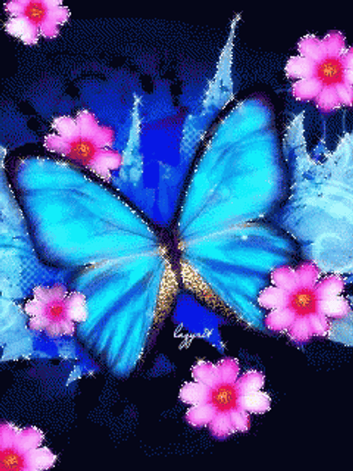Buenos Dias Con Mariposas GIF