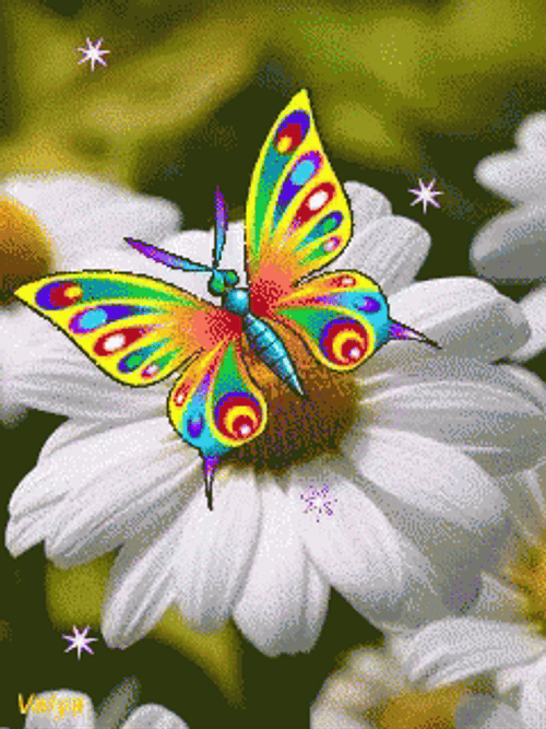 Buenos Dias Con Mariposas GIF
