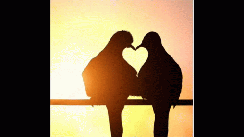 Buenos Dias Corazon 498 X 280 Gif GIF