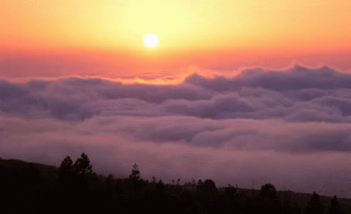 Buenos Dias Corazon 498 X 304 Gif GIF