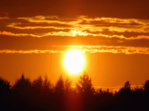 Buenos Dias Corazon 498 X 373 Gif GIF