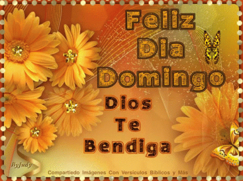 Buenos Dias Dios Te Bendiga 498 X 371 Gif GIF