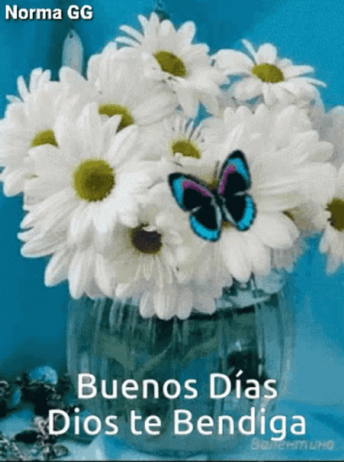 Buenos Dias Dios Te Bendiga GIF